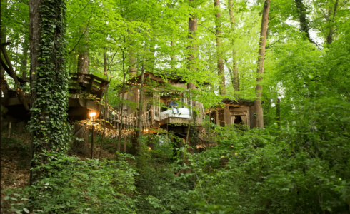 Treehouse built in forest