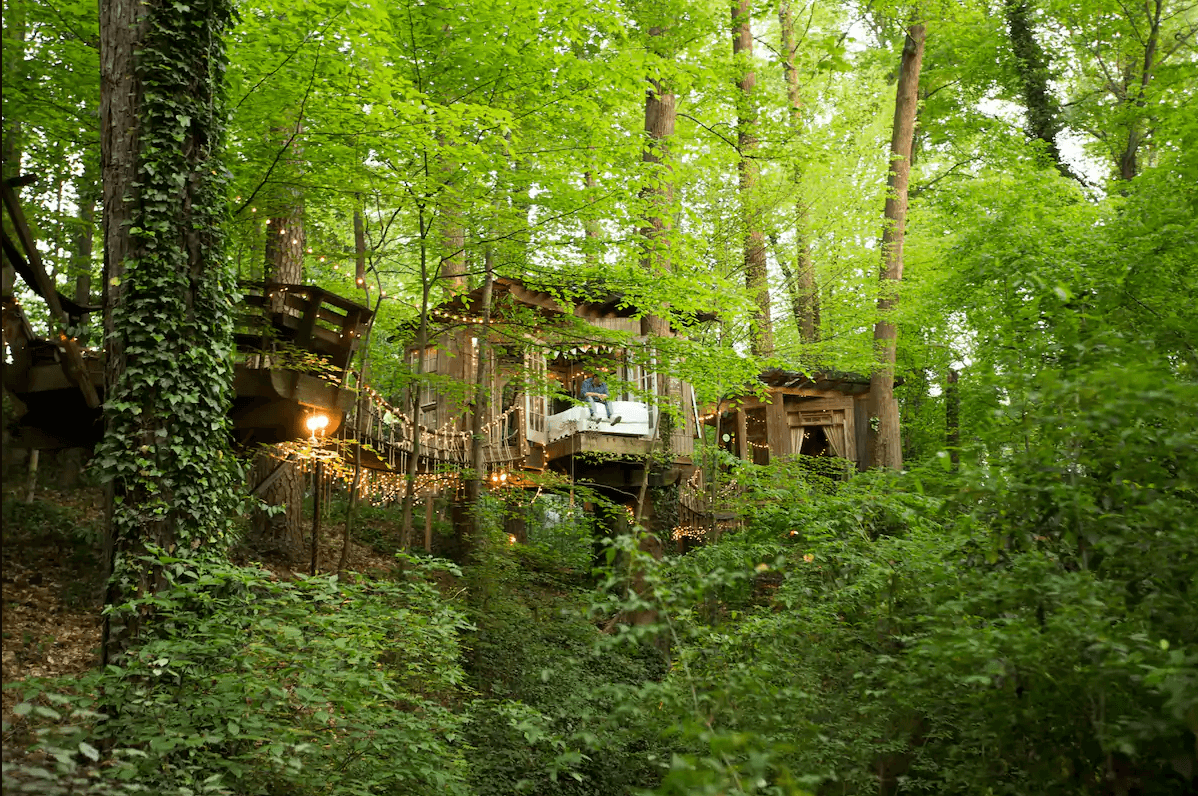 Treehouse built in forest